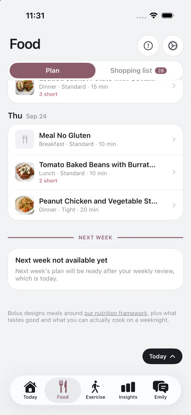 The Plan segment scrolling into next week behind its divider