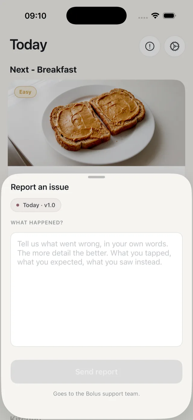 The report an issue form, with a context chip showing the screen and app version